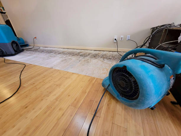 Professional Water Damage Repair technician working in Stockport, OH